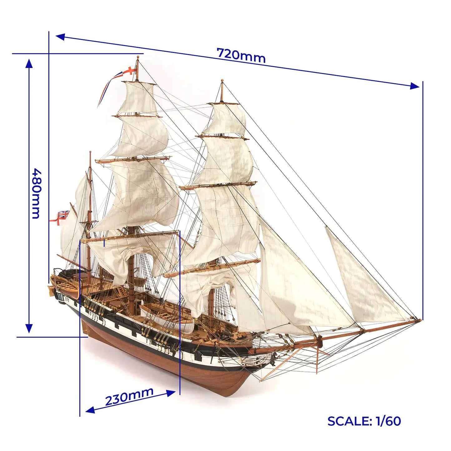 Occre® The HMS beagle