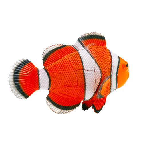 3D Púsl Trúðfiskur