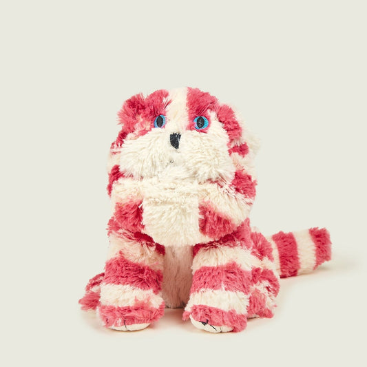 Warmies® Köttur Hitabangsi