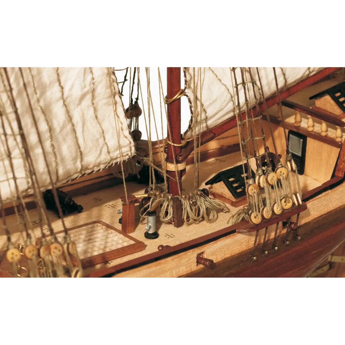 OcCre® Albatros