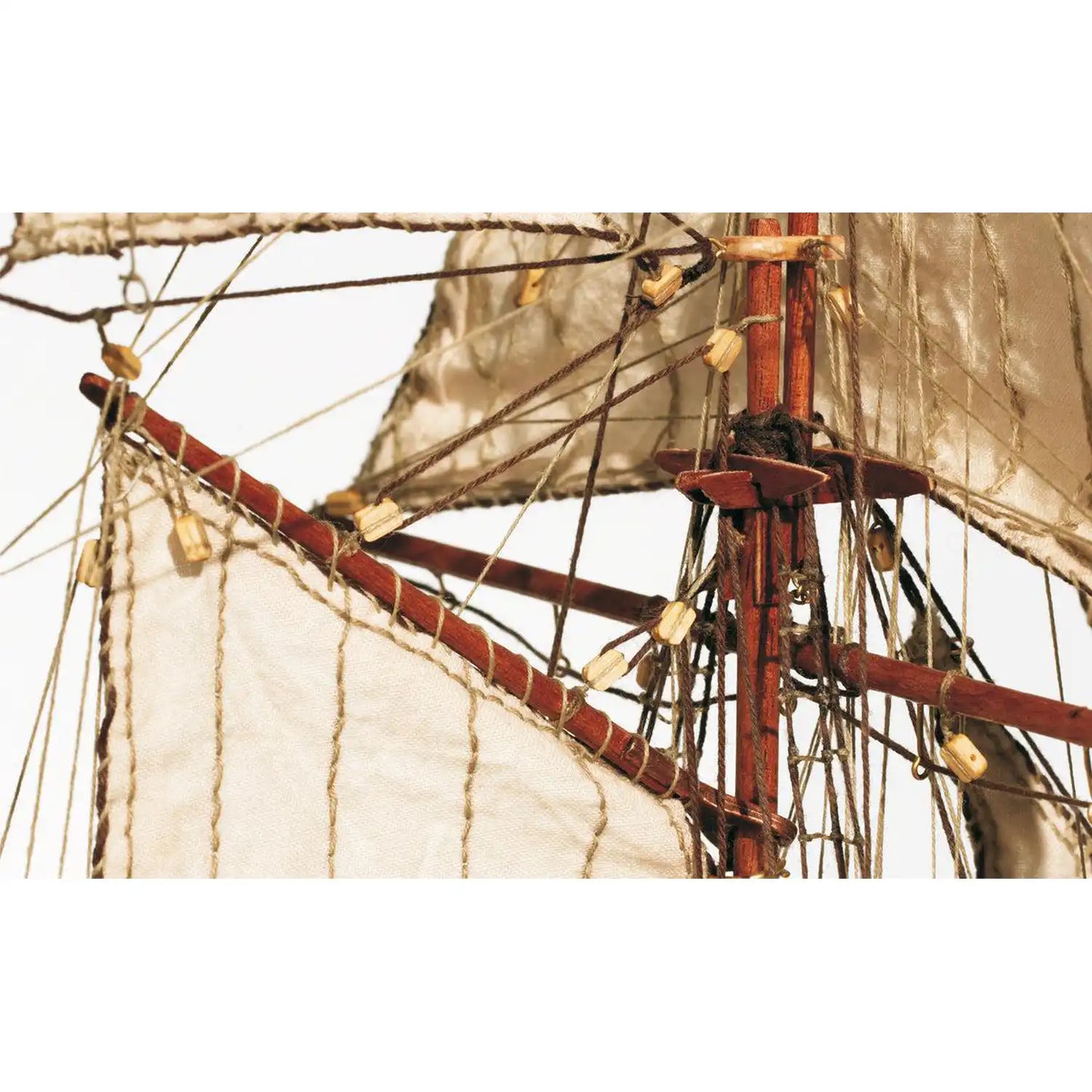 OcCre® Albatros