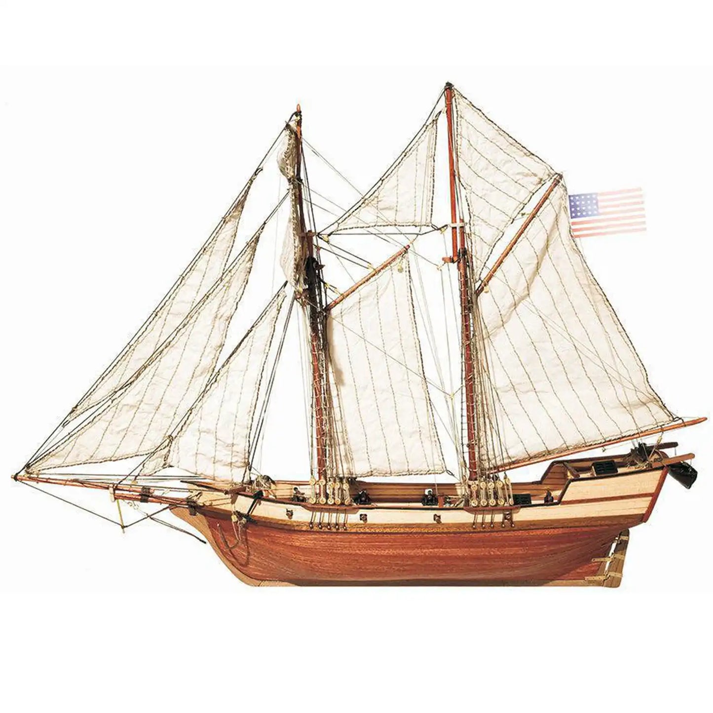 OcCre® Albatros