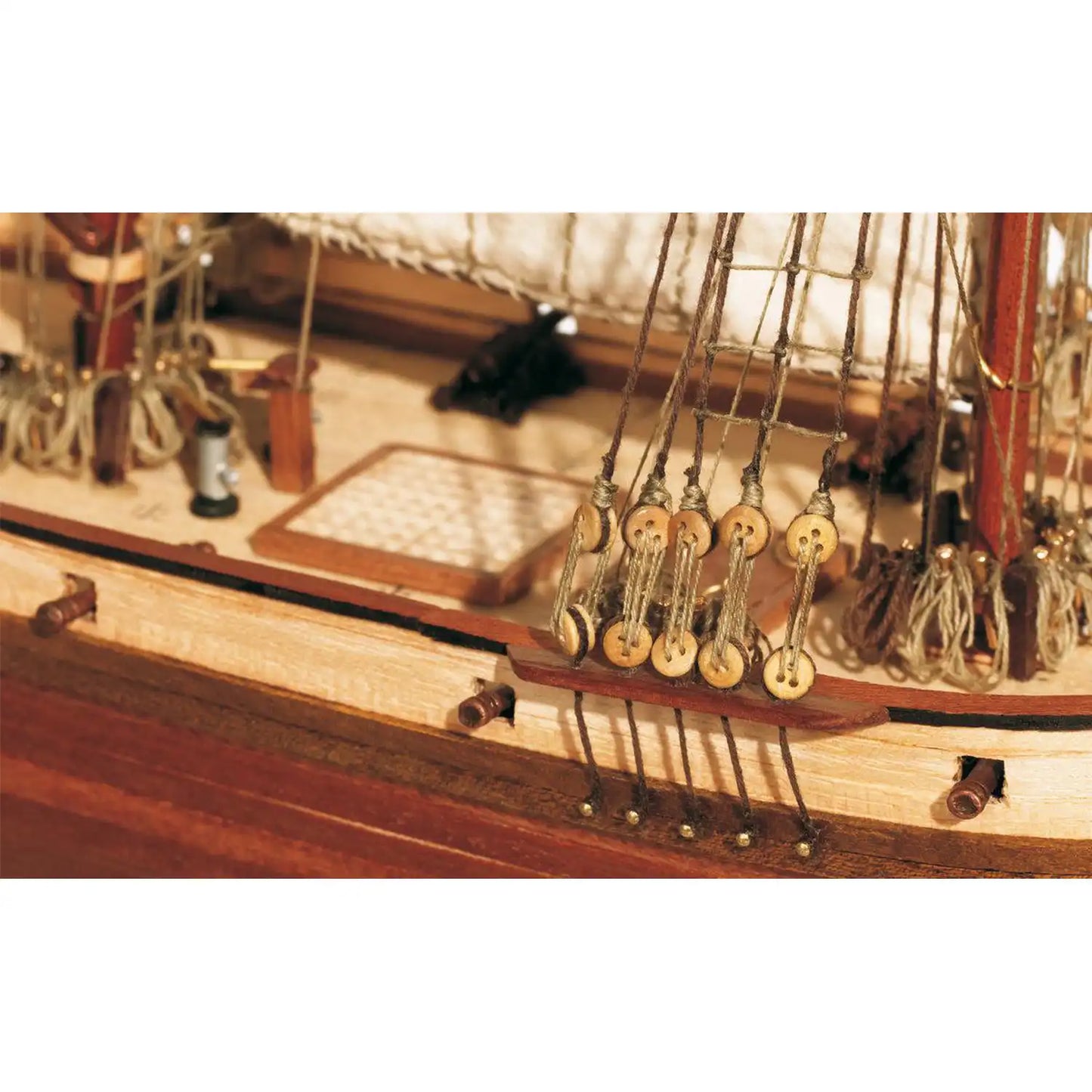 OcCre® Albatros