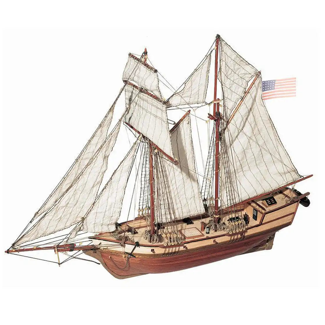OcCre® Albatros