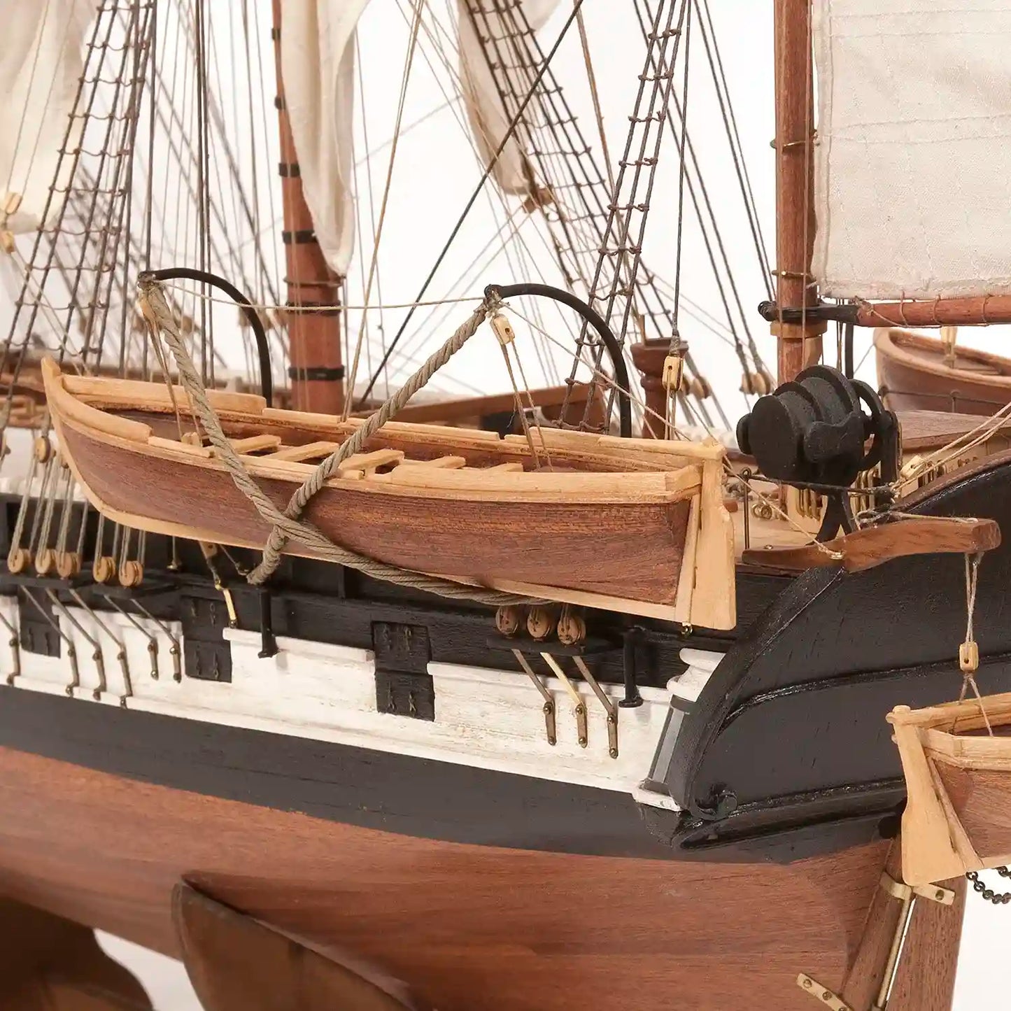 Occre® The HMS beagle