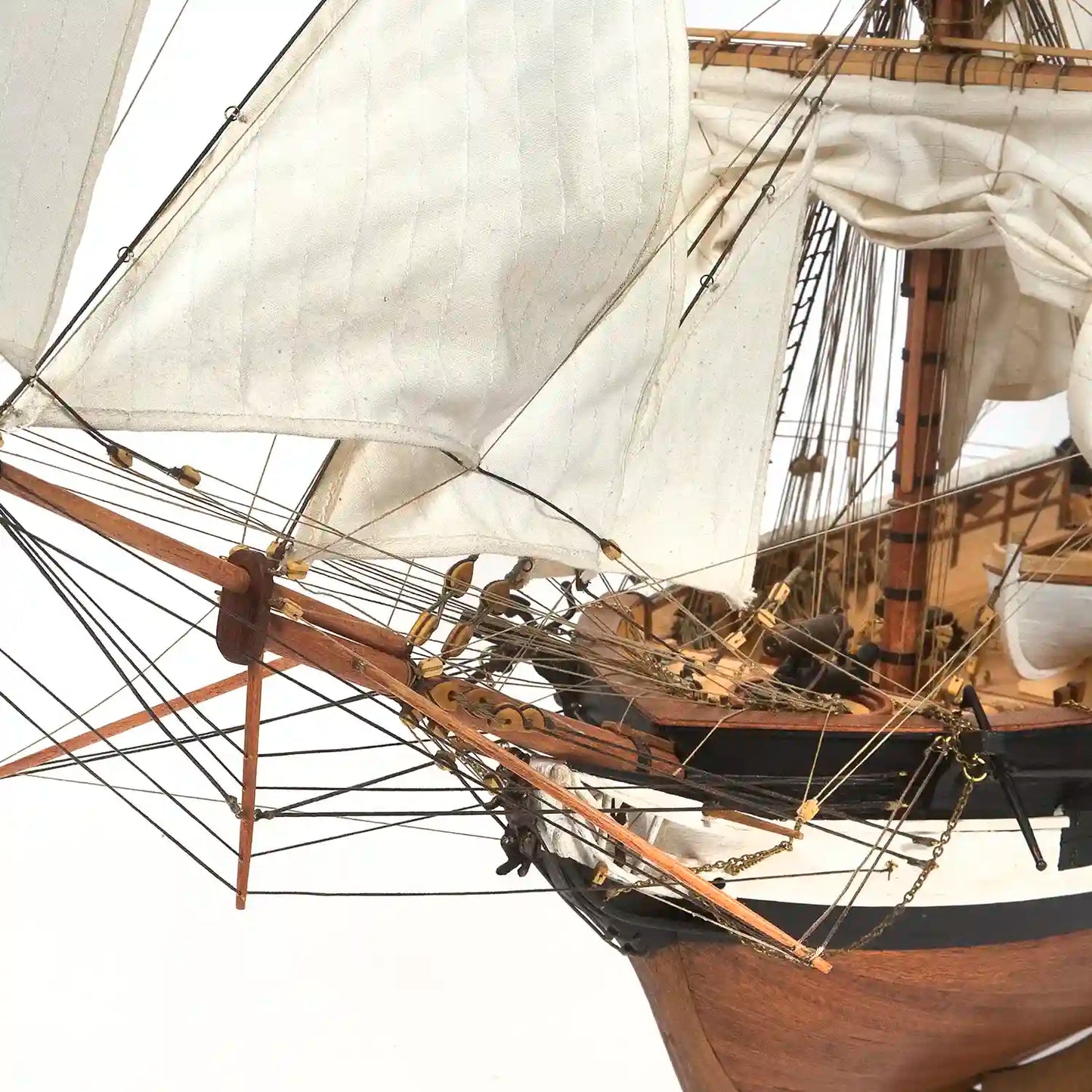 Occre® The HMS beagle