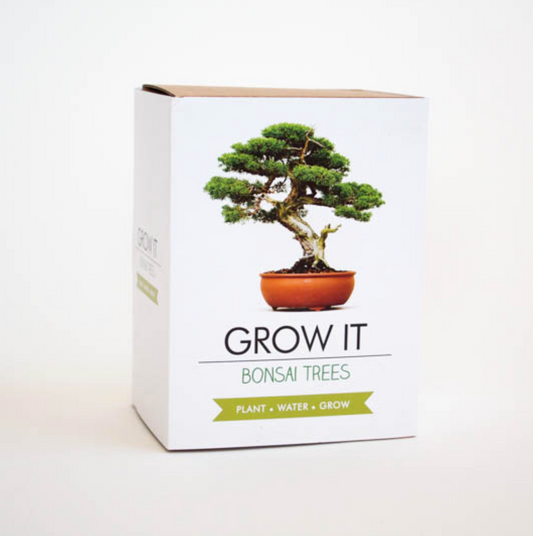 Gift Republic® GROW IT – Bonsai Tré