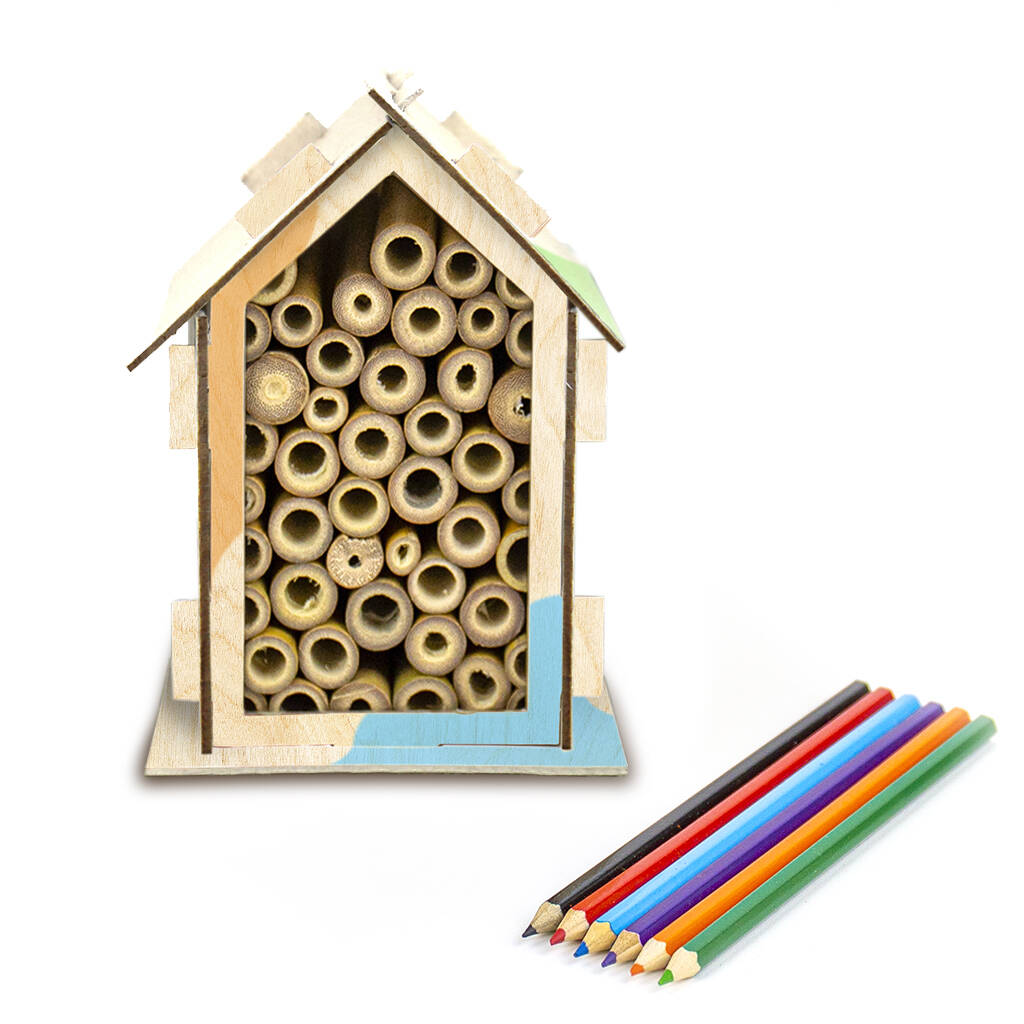 Gift Republic® Búðu til Býflugnabú