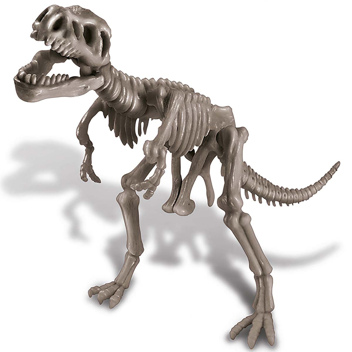 4M® KidzLabs - Dig a Dinosaur Tyrannosaurus Rex