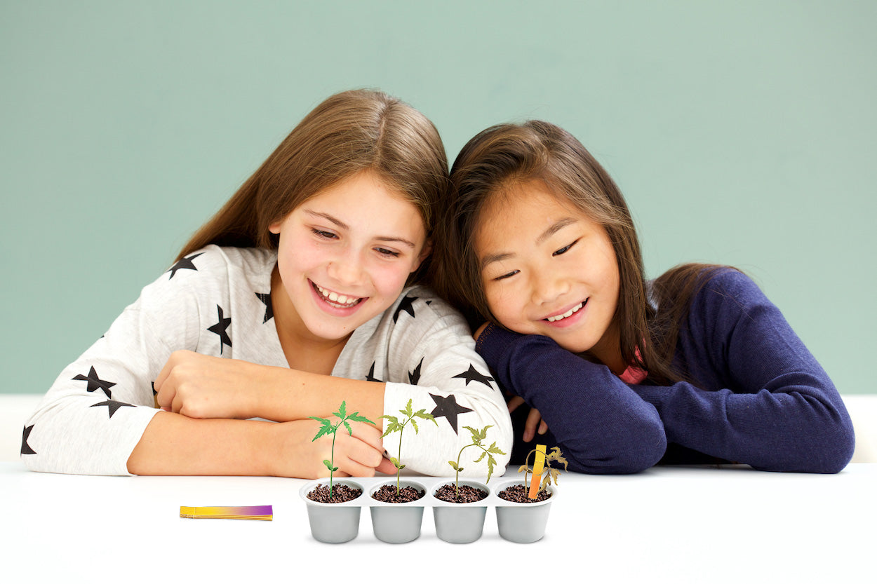 4M® Green Science - Weather Science