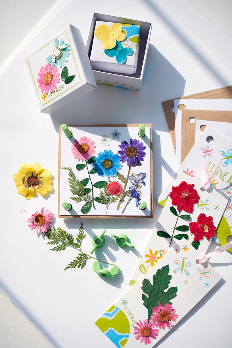 4M® Green Creativity - Pressed Flower Art