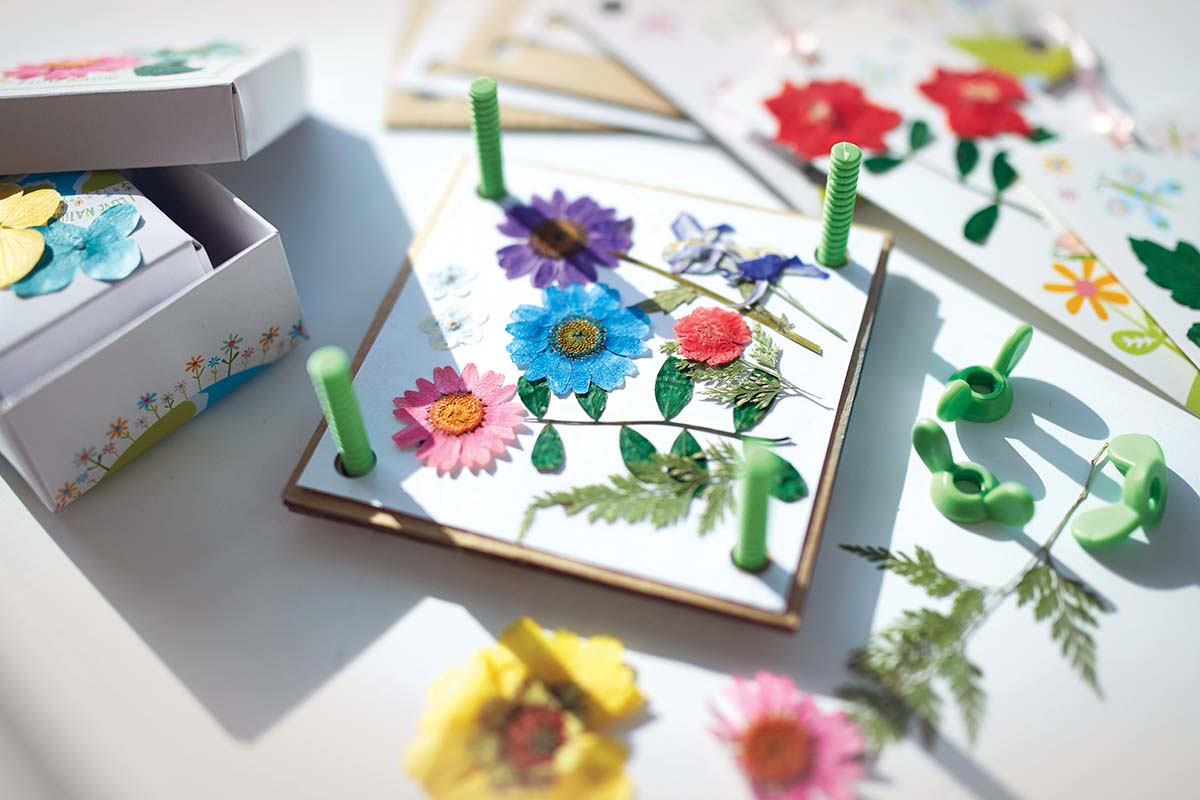 4M® Green Creativity - Pressed Flower Art