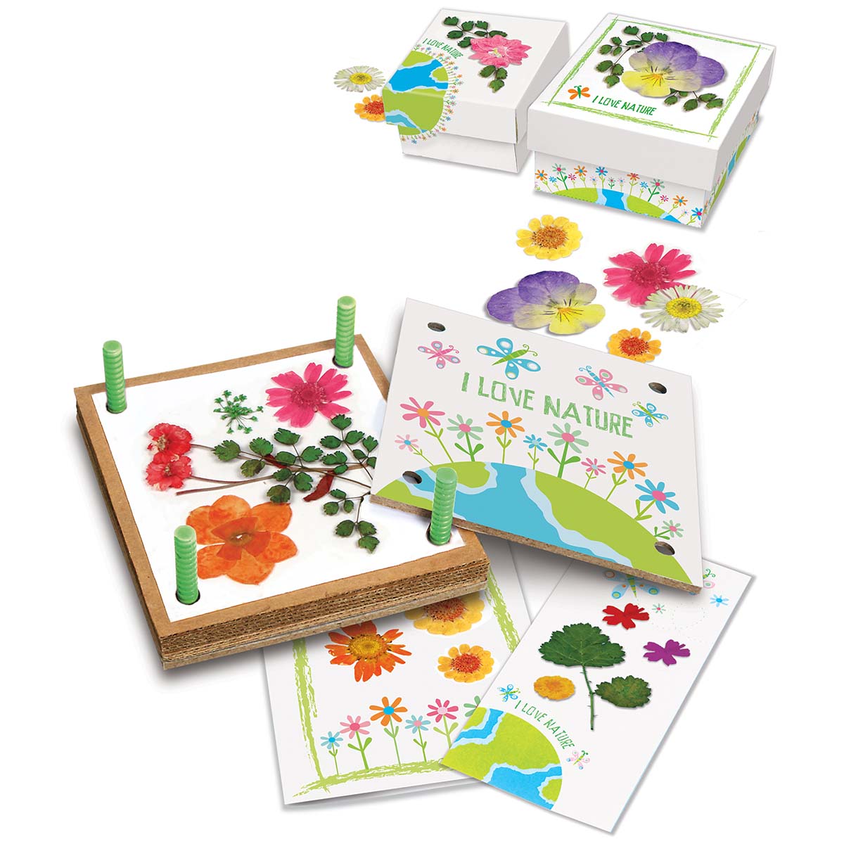 4M® Green Creativity - Pressed Flower Art