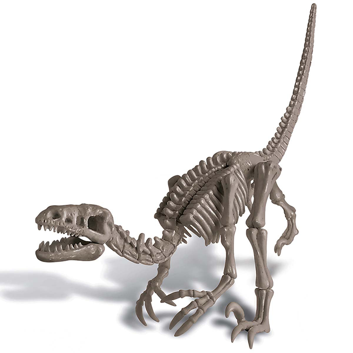 4M® KidzLabs - Dig a Dinosaur Velociraptor
