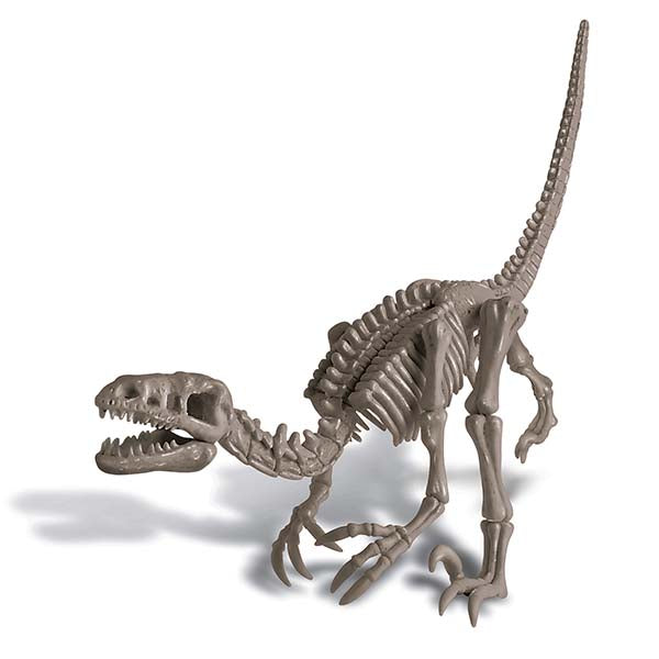 4M® KidzLabs - Dig a Dinosaur Velociraptor