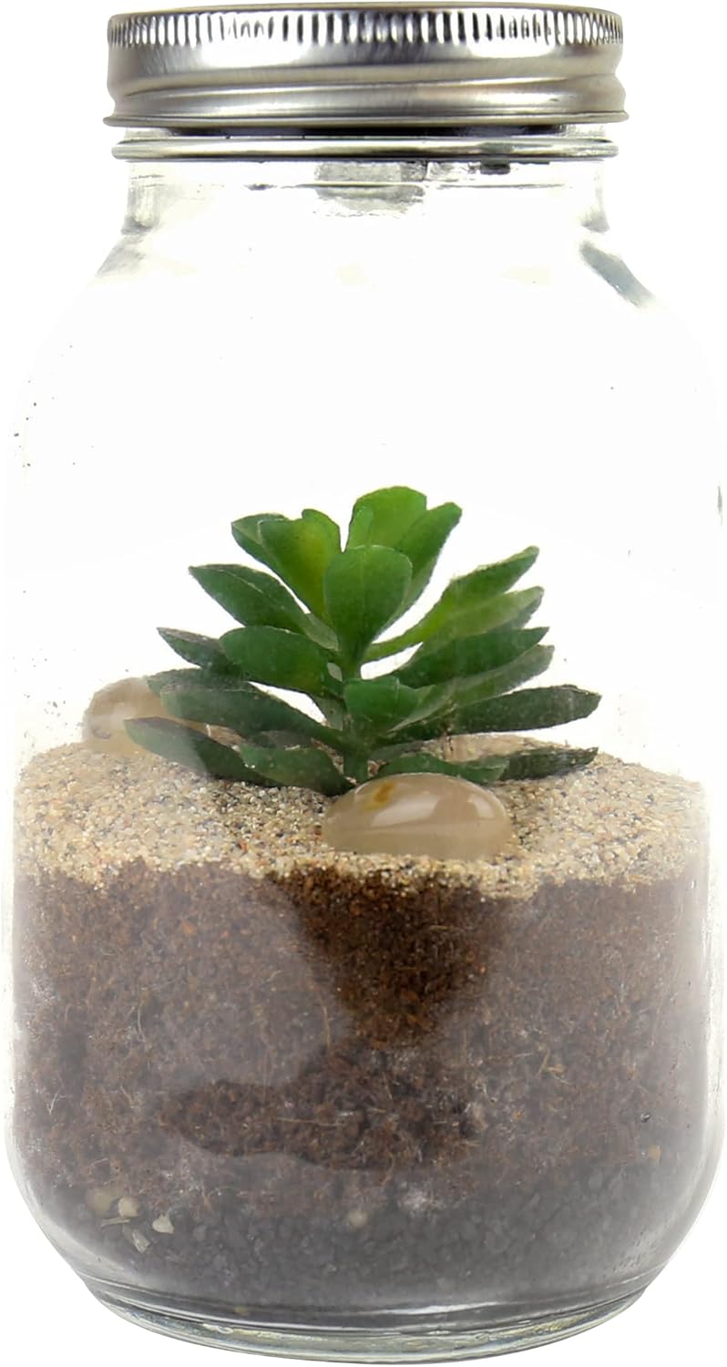 Gift Republic® Solar Powered Light up Terrarium