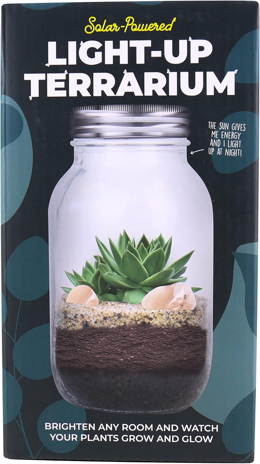 Gift Republic® Solar Powered Light up Terrarium