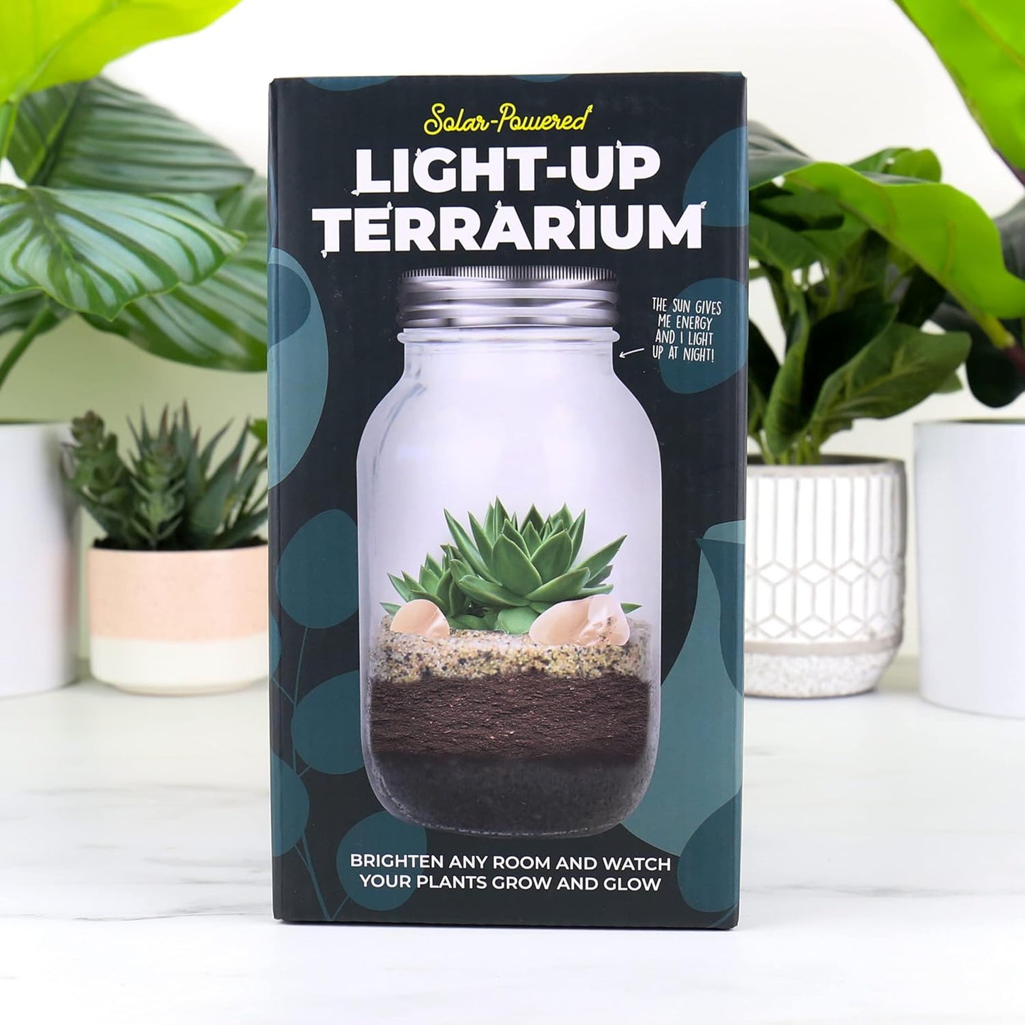 Gift Republic® Solar Powered Light up Terrarium
