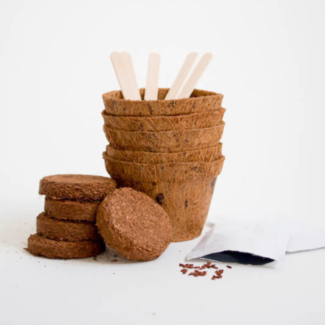 Gift Republic® GROW IT – Bonsai Tré