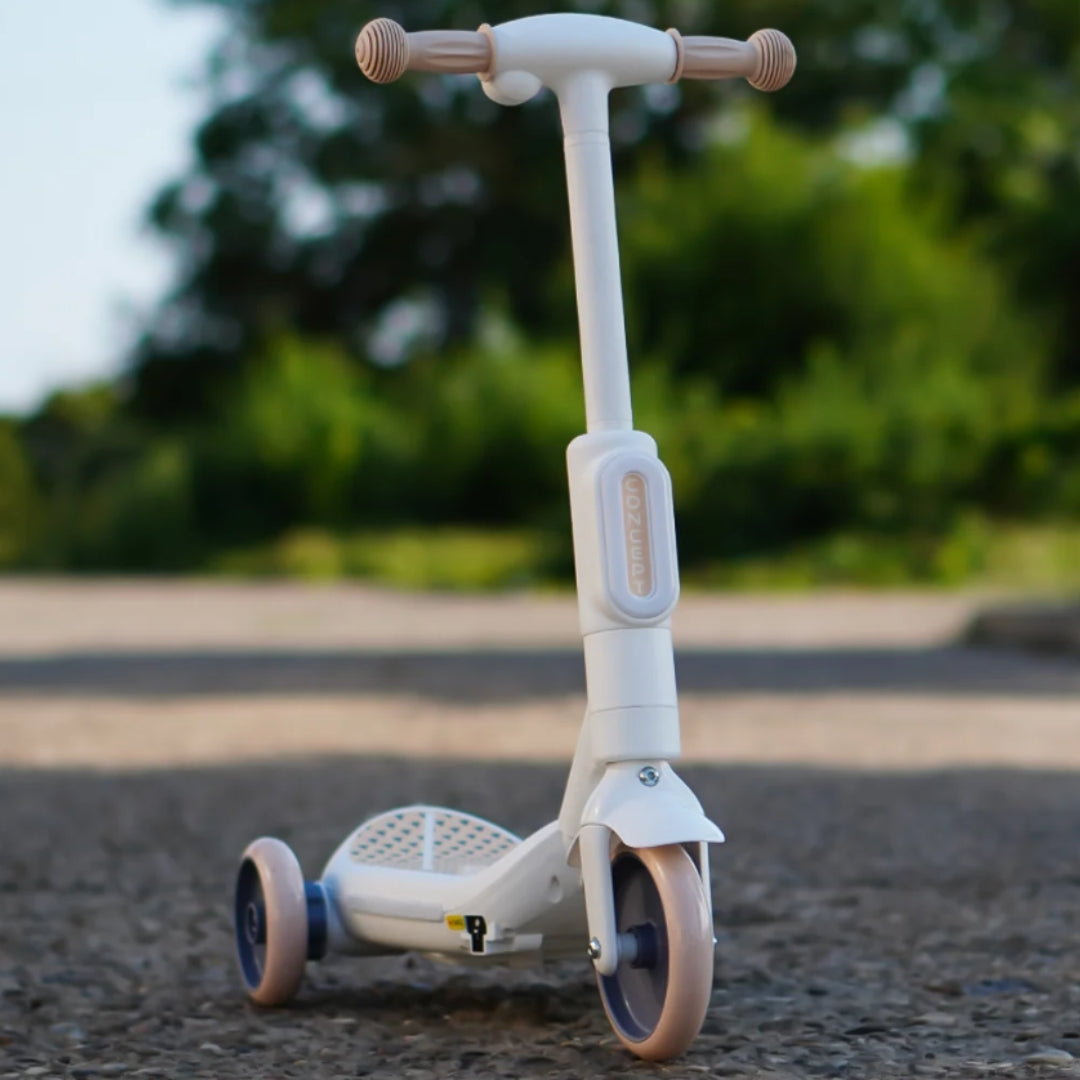 Hlaupahjól (rafmagns)