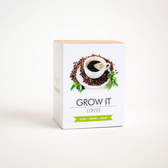 Gift Republic® GROW IT – Kaffi planta