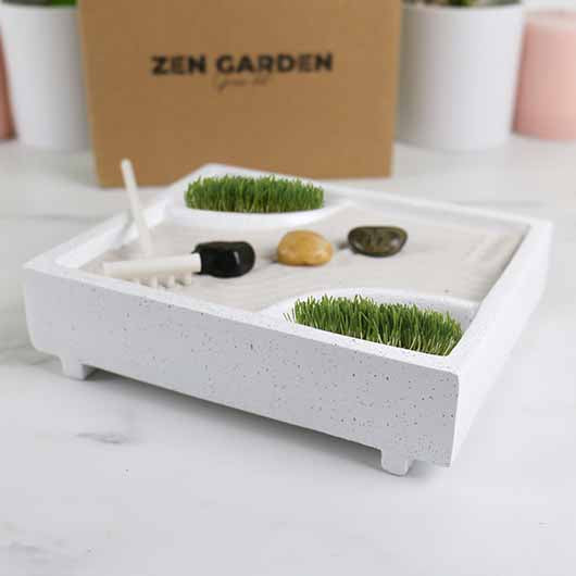 Gift Republic® NOVELTY – Zen garden grow kit
